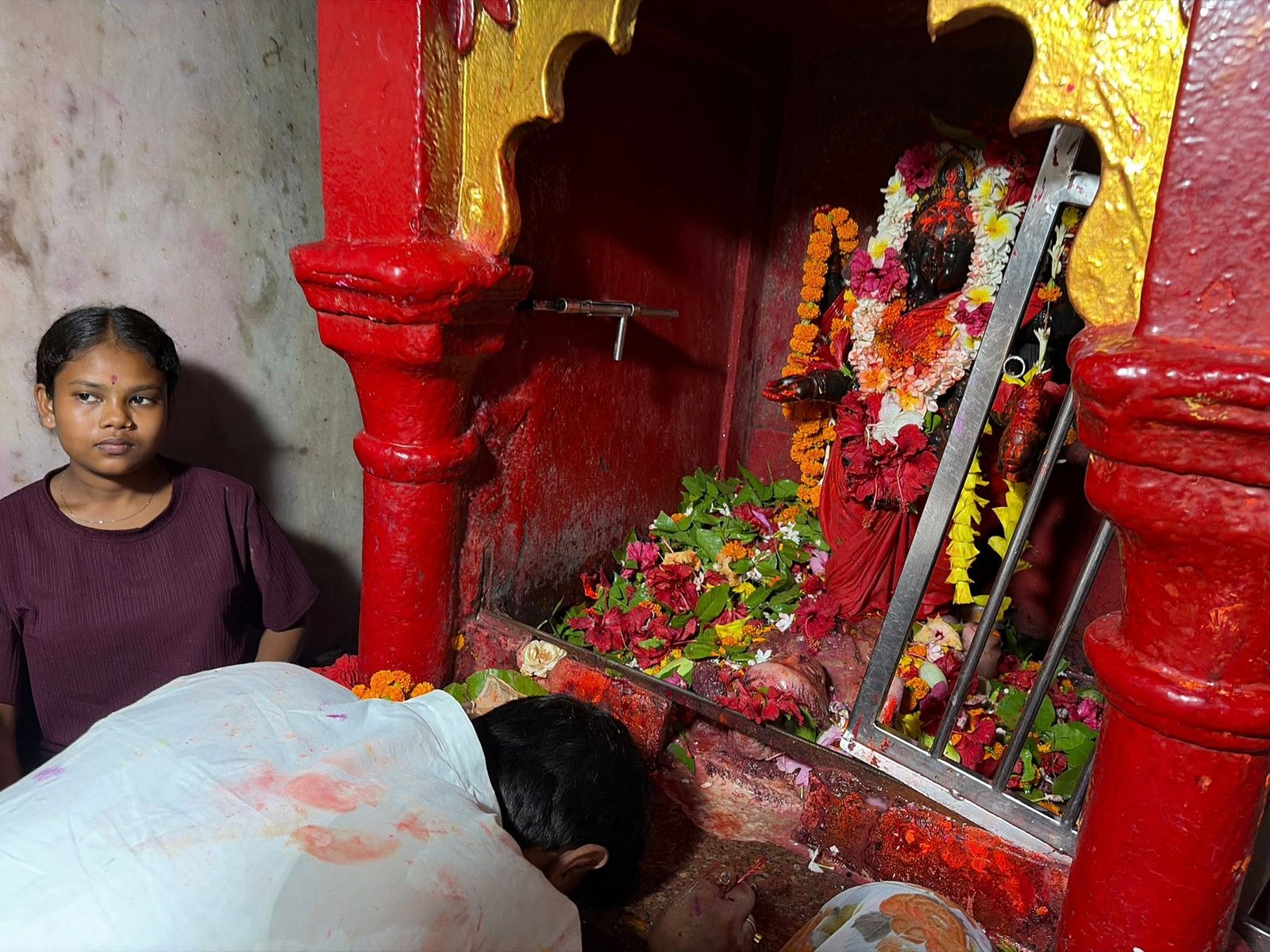 श्री वासुकीनाथ धाम में बाबा के दर्शन