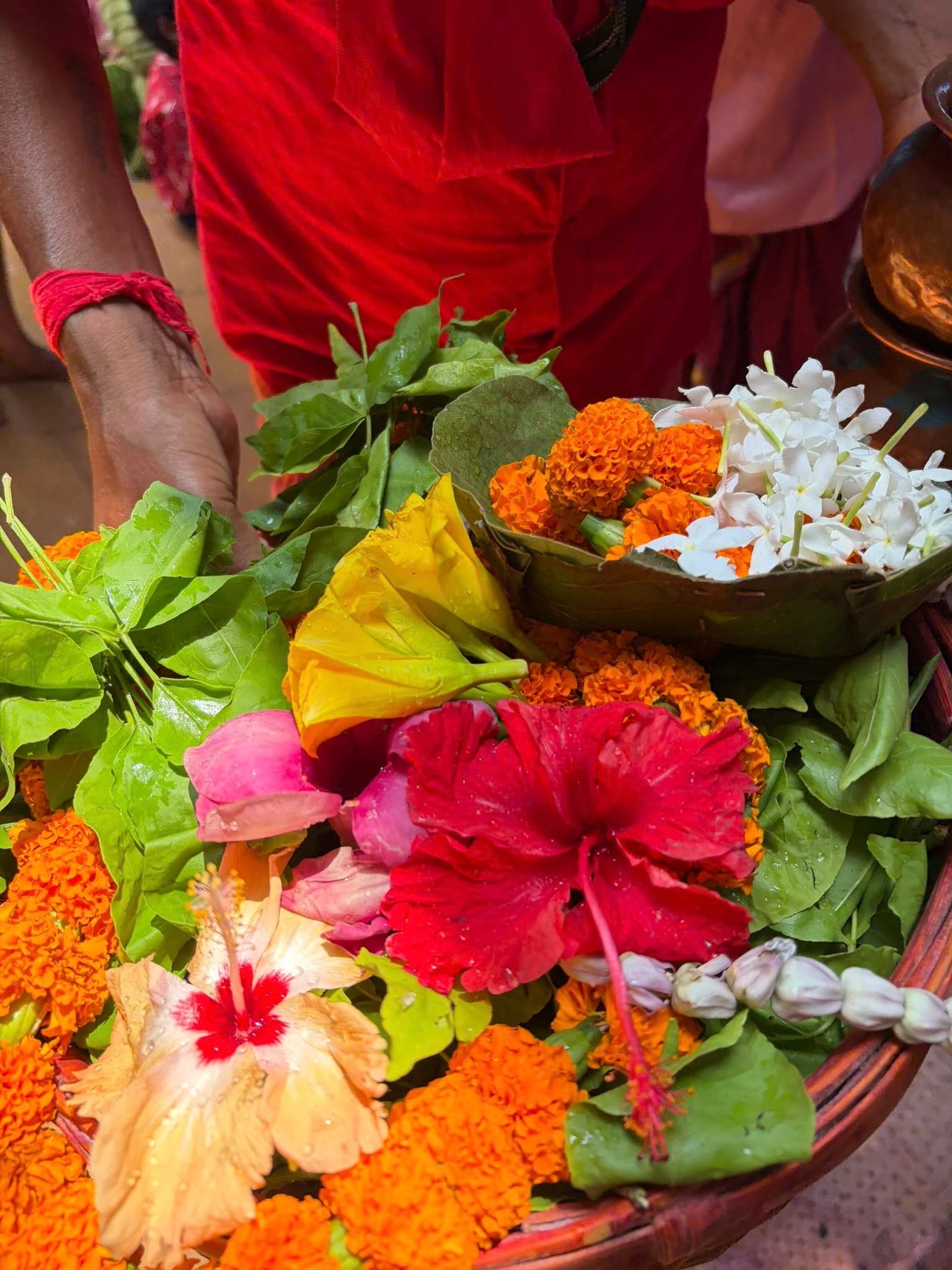 श्री वासुकीनाथ धाम में बाबा के दर्शन